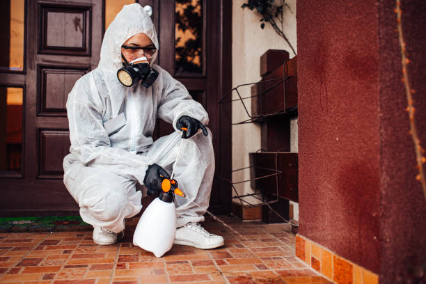 Reliable Ant Control contractor in Orange Grove, TX by Show Me Pest Control